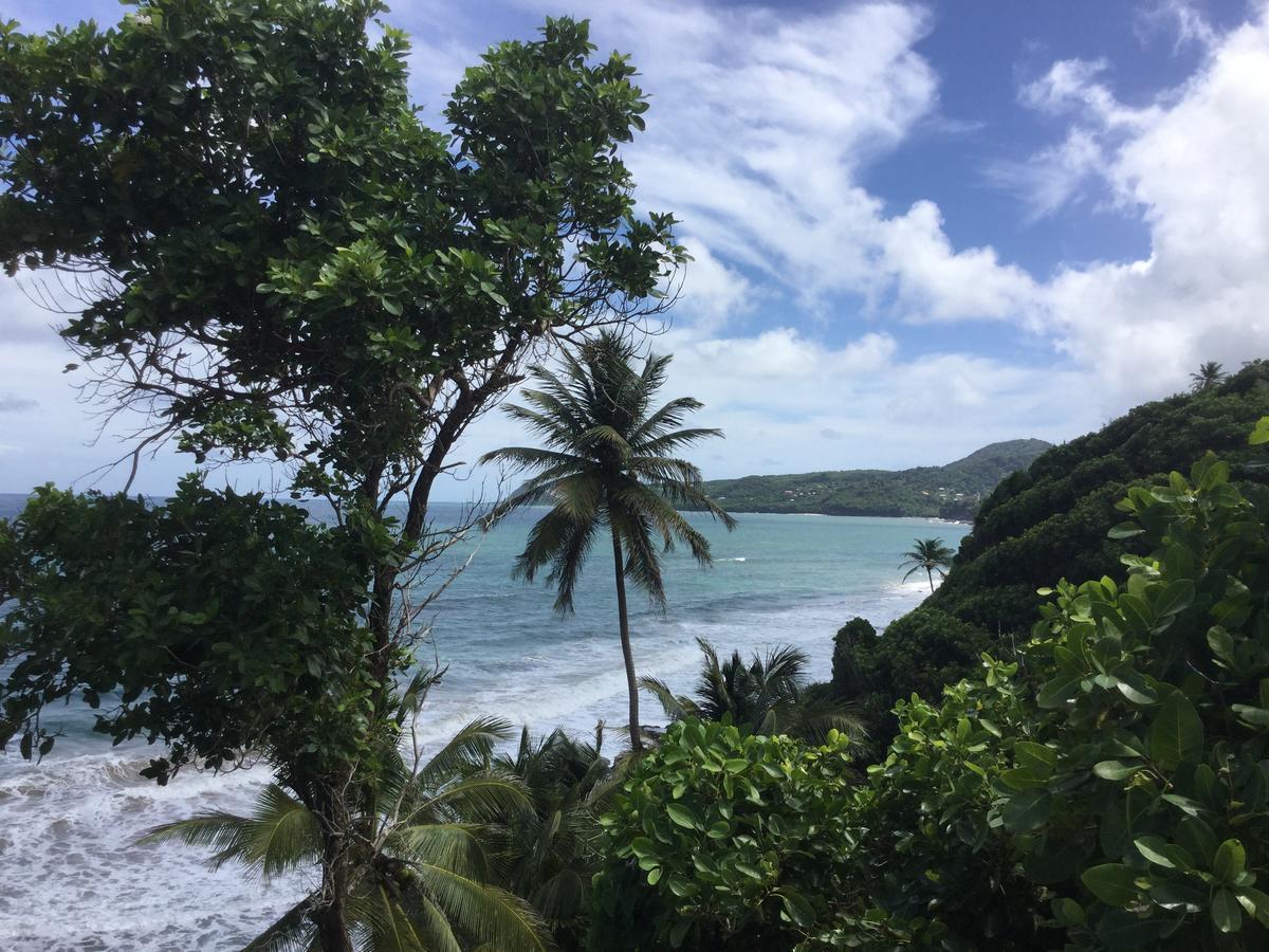 Petite Anse Hotel Mount Alexander ภายนอก รูปภาพ