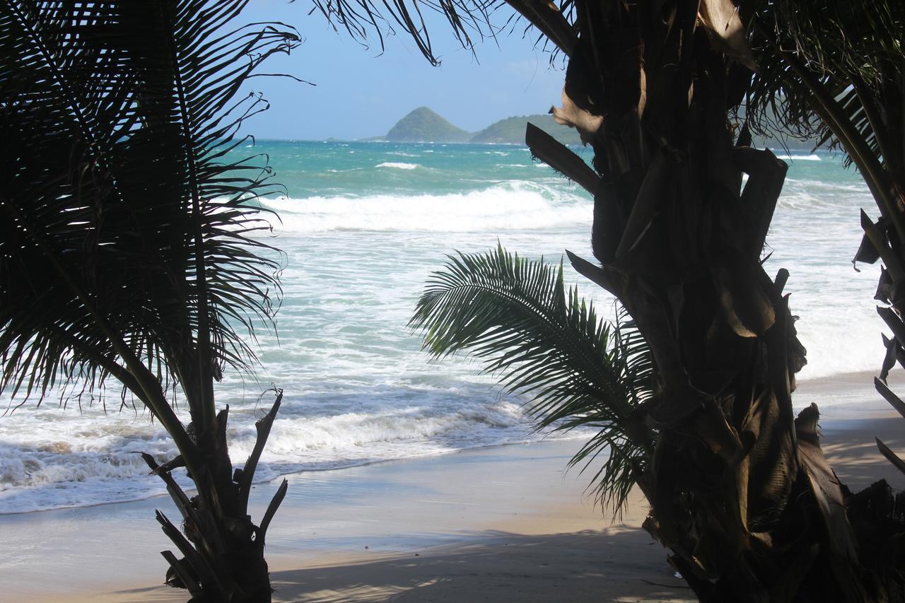 Petite Anse Hotel Mount Alexander ภายนอก รูปภาพ